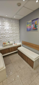 viviane-sala-1